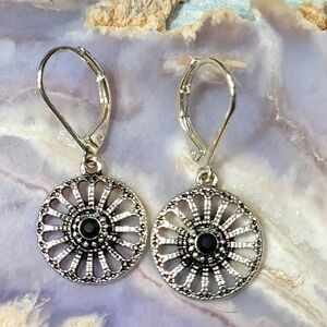 Elegant Silver and Black Earrings
